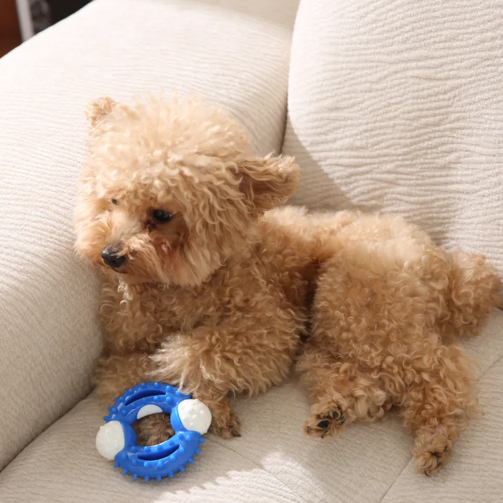 Best Dog Nylon Chew Toy Top