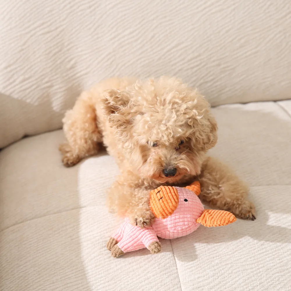 Best Dog Plush Toy