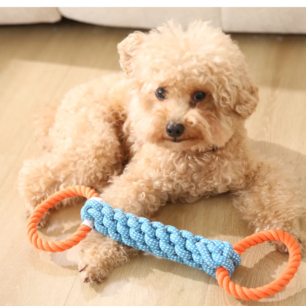 Best Double Ring Dog Rope Toy