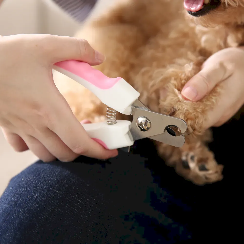 Best Pet Nail Clipper Set