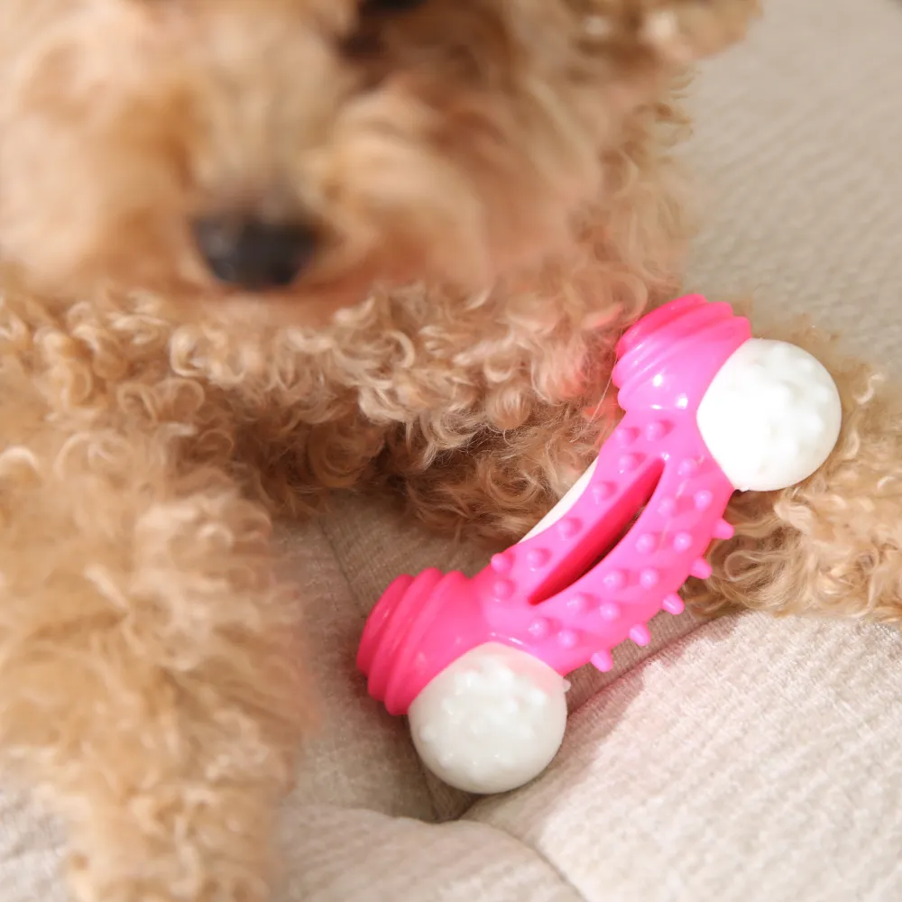 Bulk Bone Dog Nylon Chew Toy