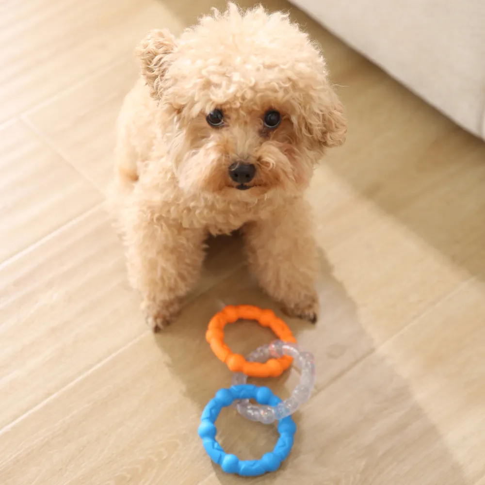Bulk Dog 3 Ring Chew Toy
