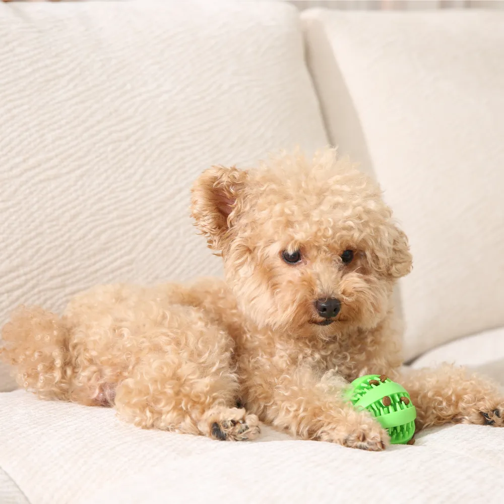 Bulk Dog Chew Ball Toy