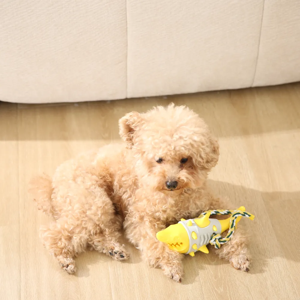 Bulk Shark Shape Dog Chew Toy