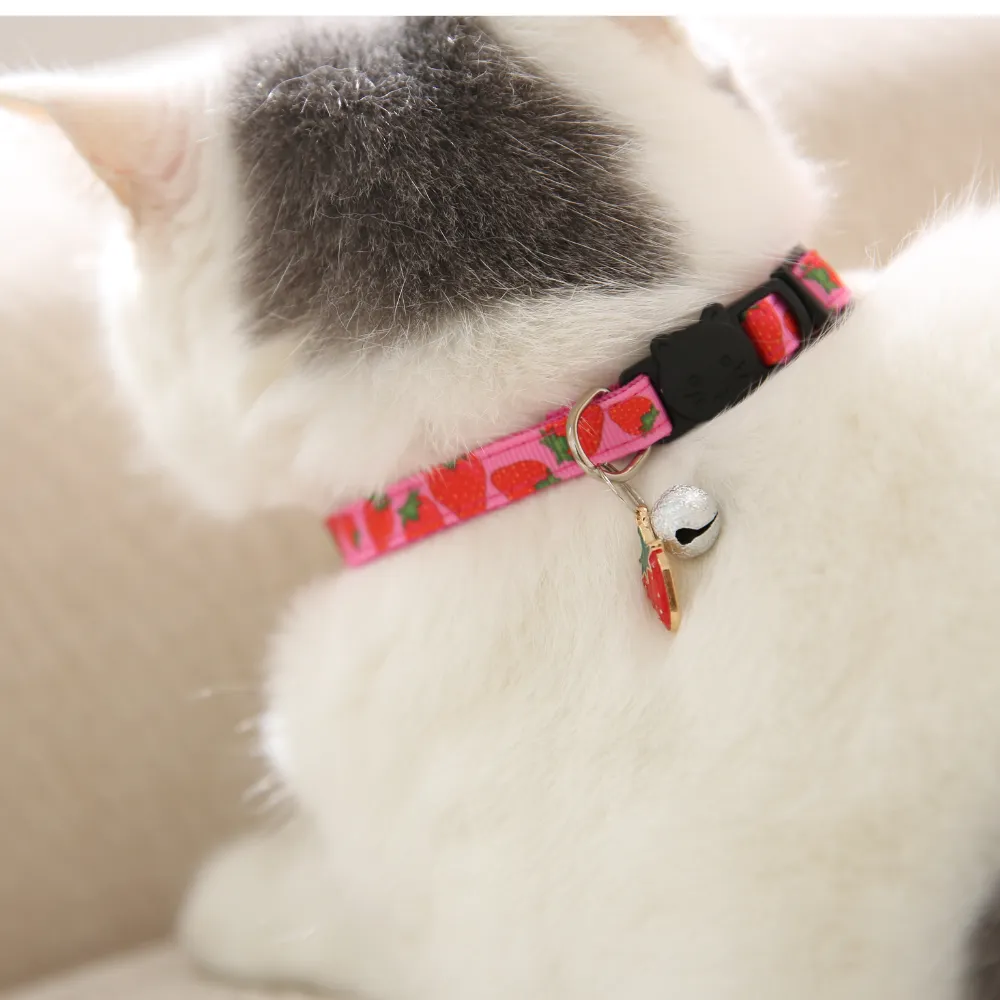 Cat Collar with Bell bulk