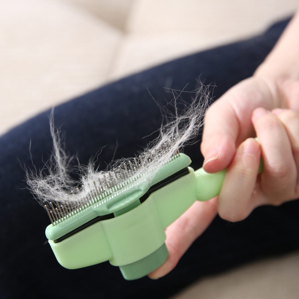 Cat and dog lice removal comb