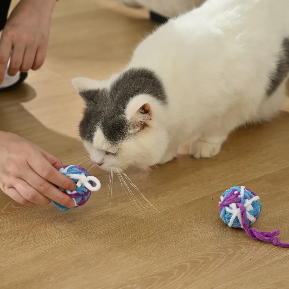 Colorful Cat Ball Toy (Set of 2)