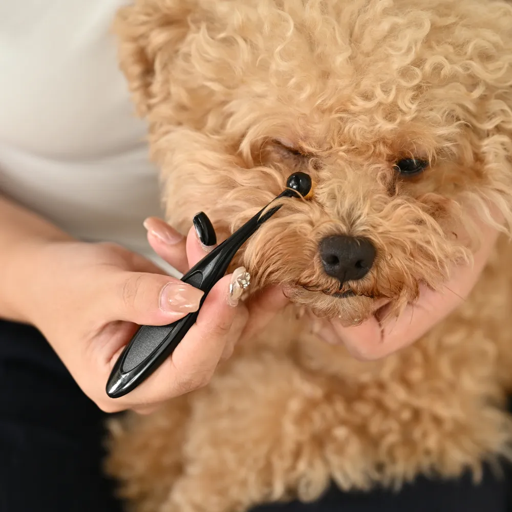 Comfortable handle pet brush