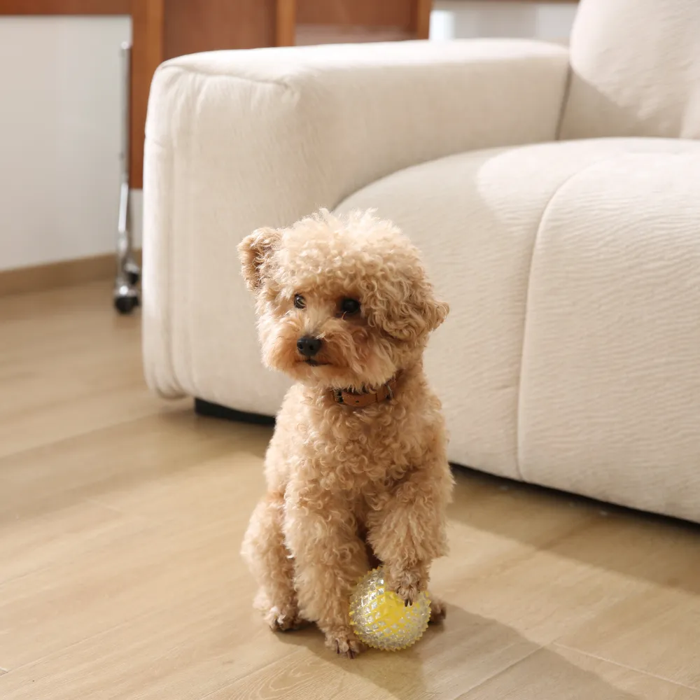 Custom Dog Chew Ball Toy