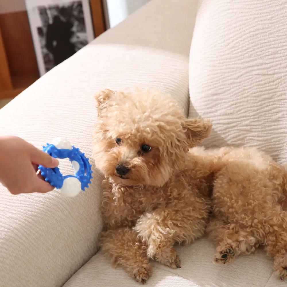 Custom Dog Nylon Chew Toy Hot