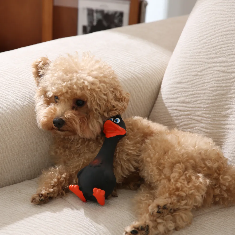 Custom Pet Latex Toys