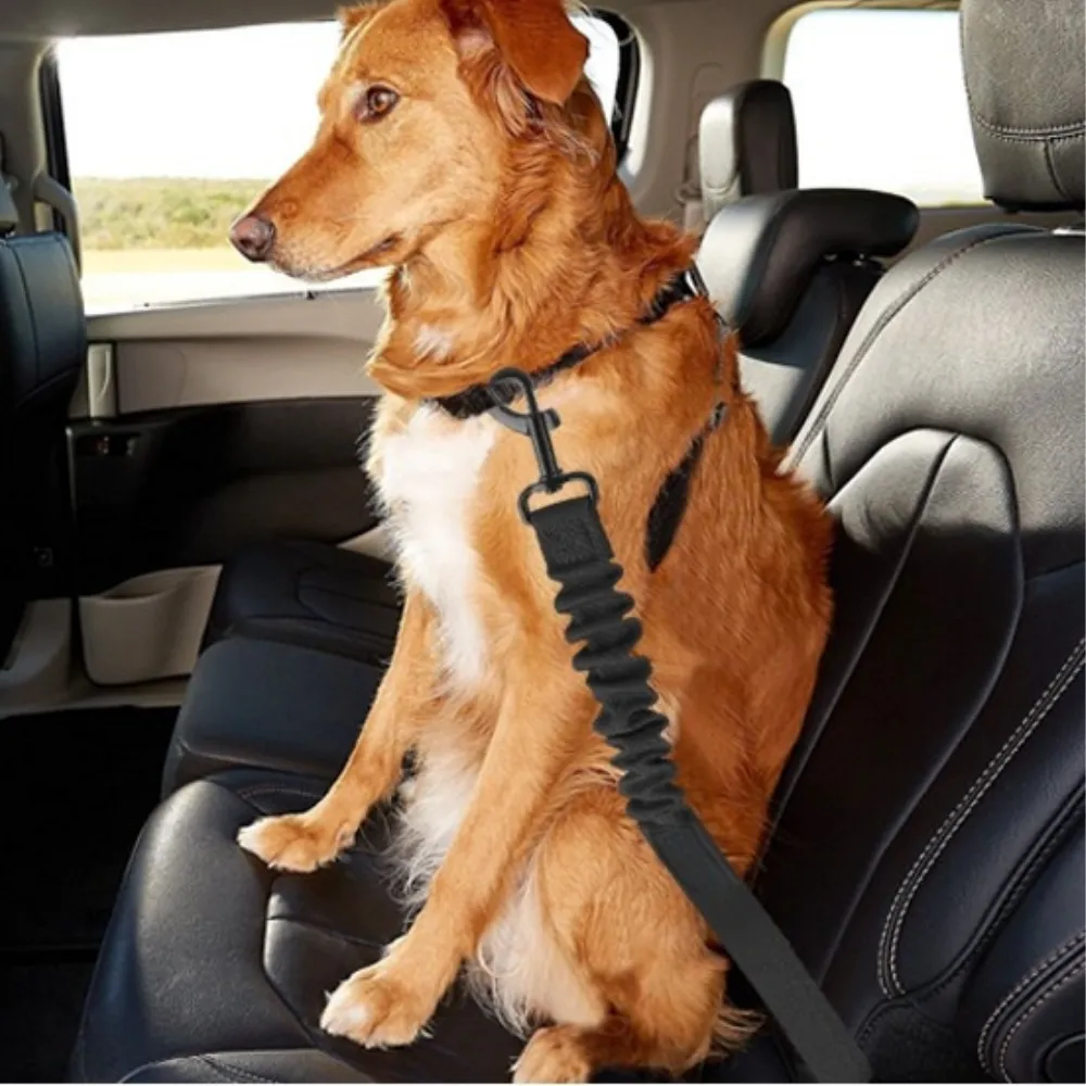 Dog Car Leash Belt