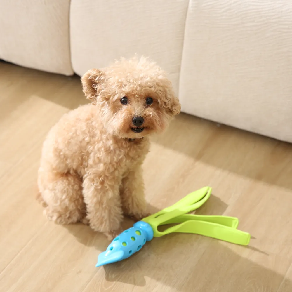 Dog Chewable Floating Toy
