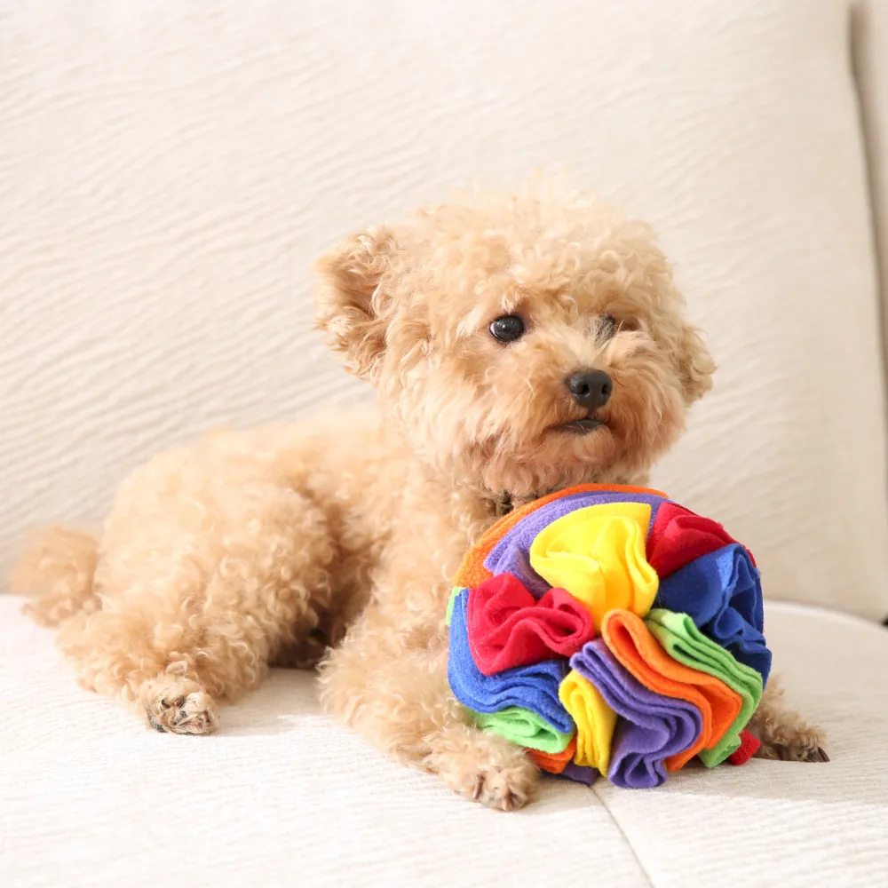 Dog Colorful Snuffle Ball