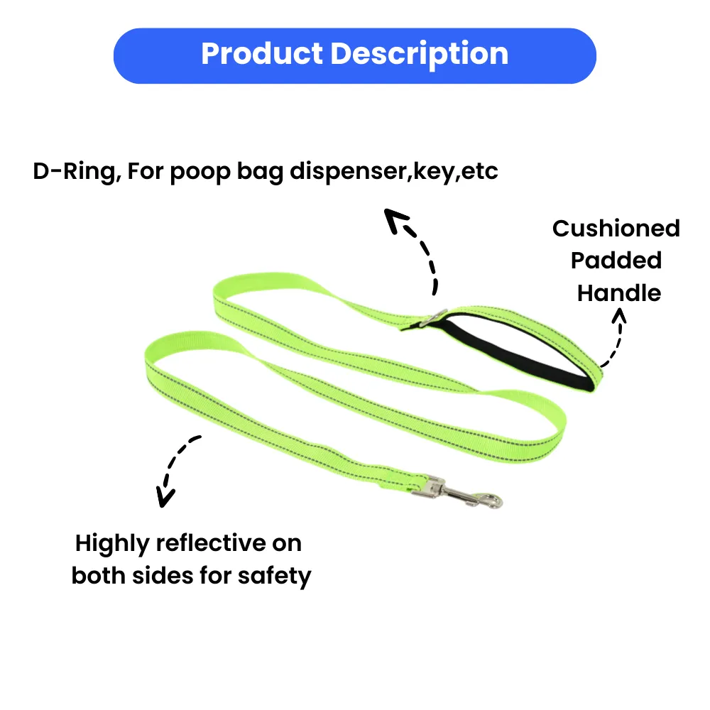 Dog Leash Reflective
