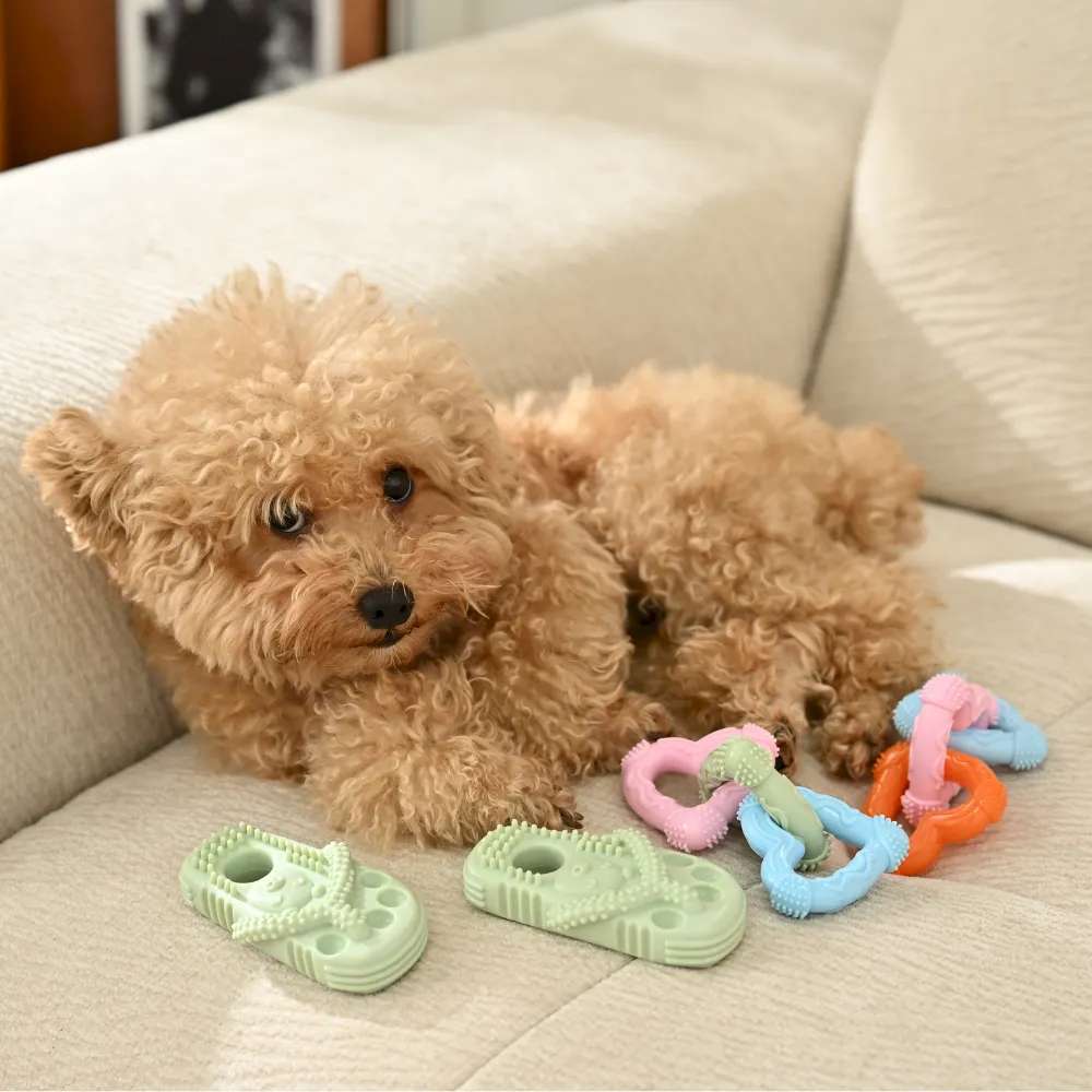 Durable Puppy Chew Toy Set