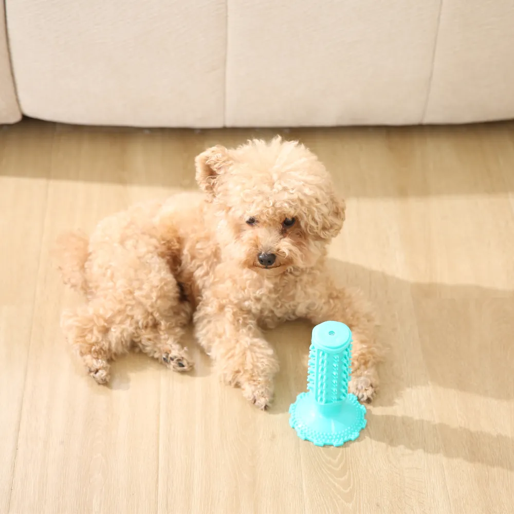 Factory Dog Chew Toys with Suction