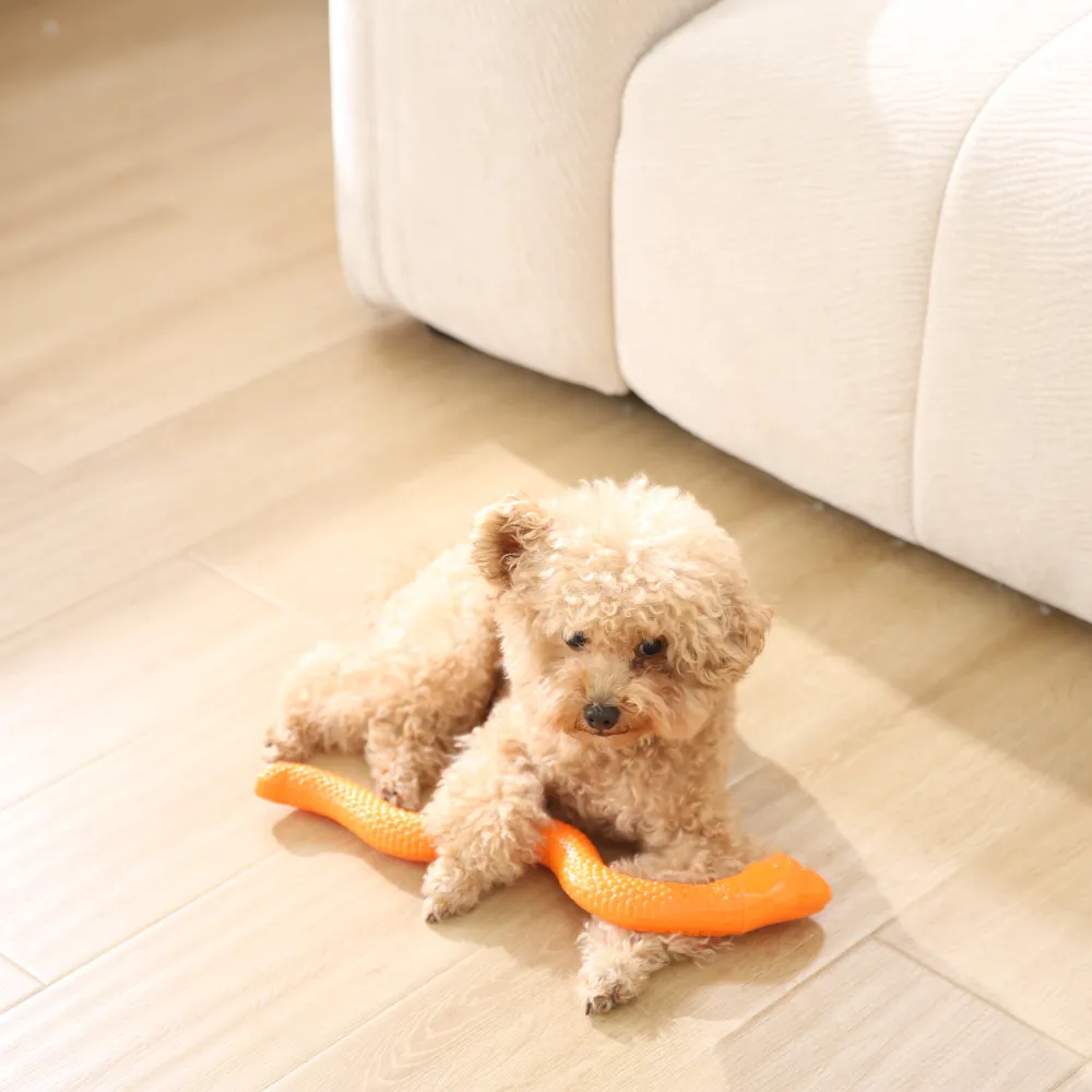 Factory Snake Shaped Dog TPR Toy