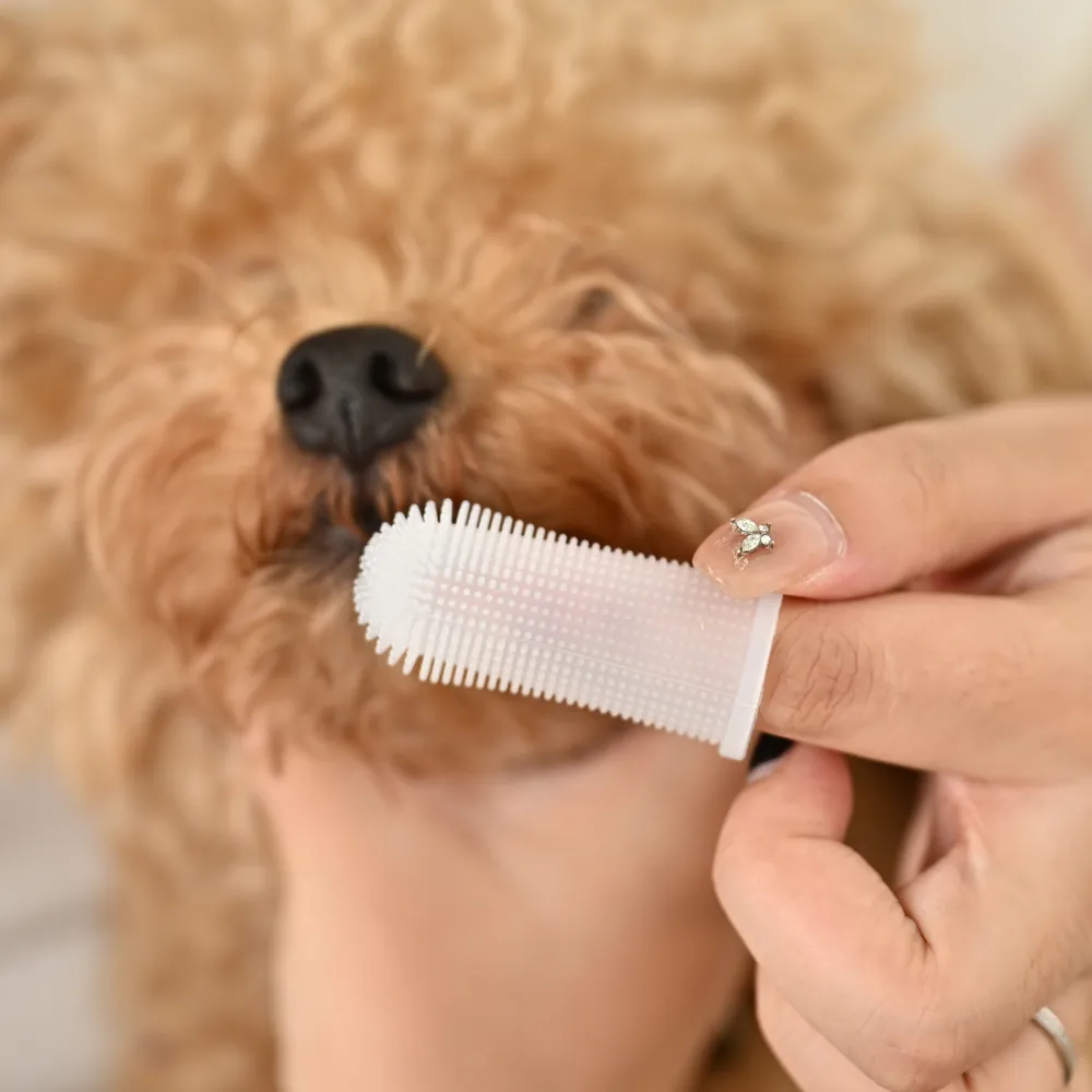 Finger Toothbrush Dog