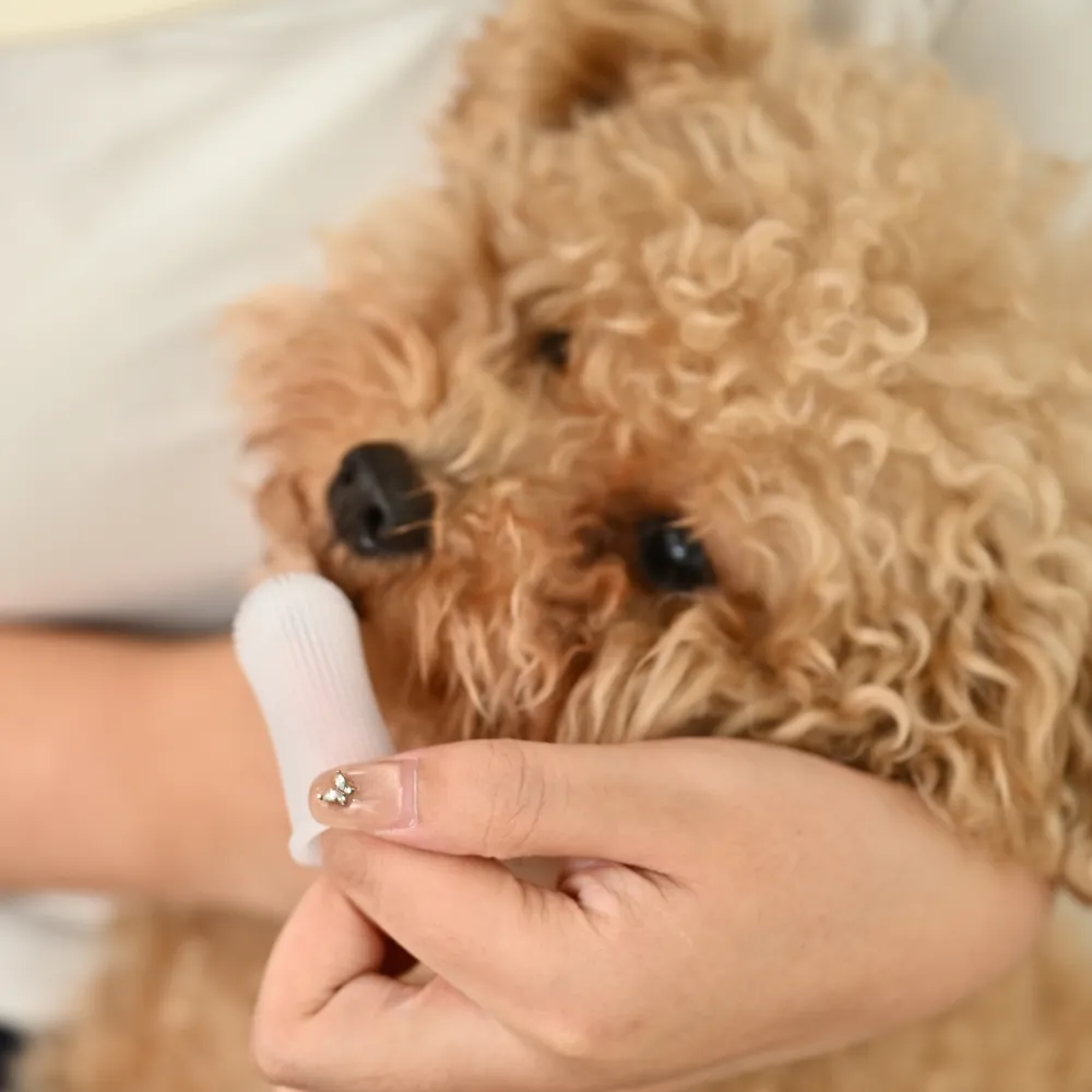Finger Toothbrush Pet