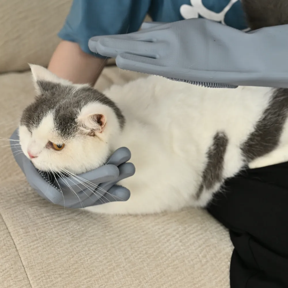Grooming Cat Gloves