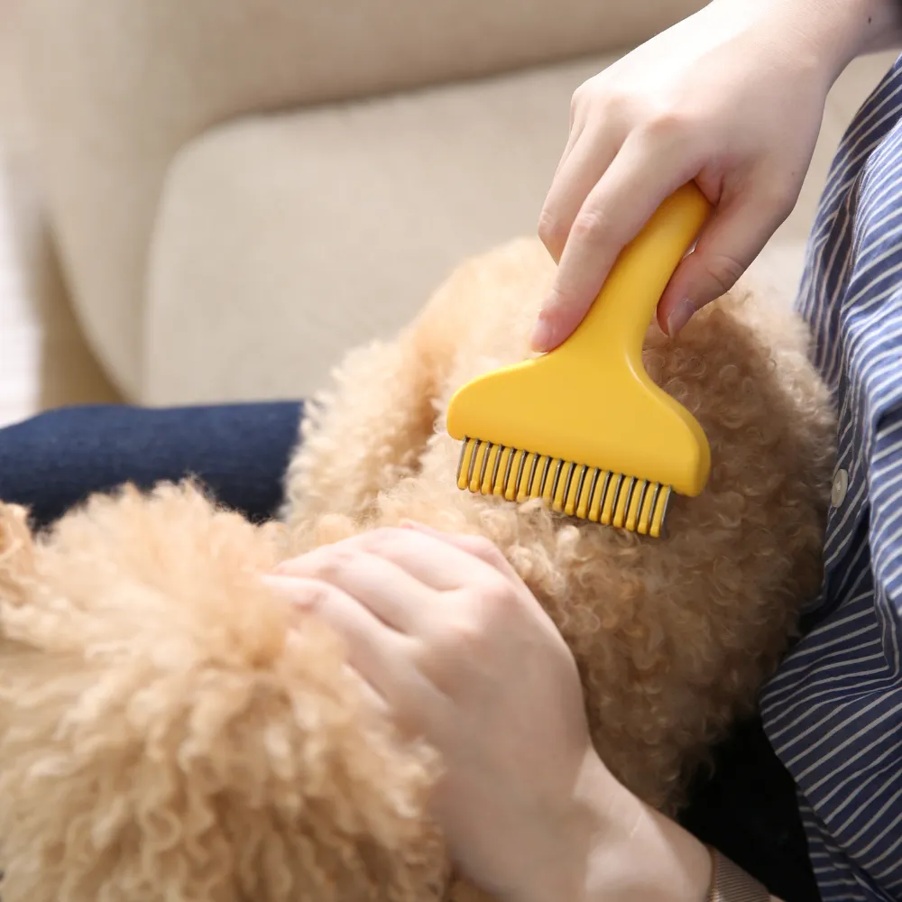 Hair removal brush for cats & dogs