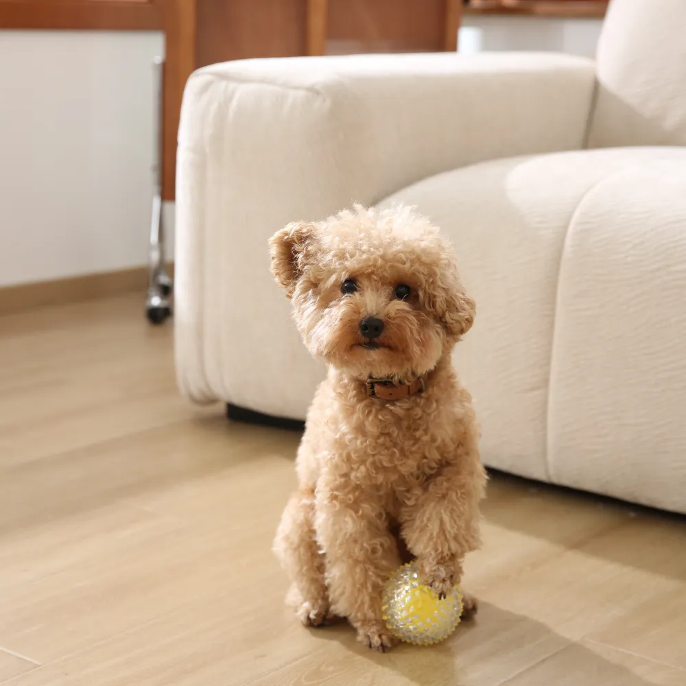 Hot Dog Chew Ball Toy