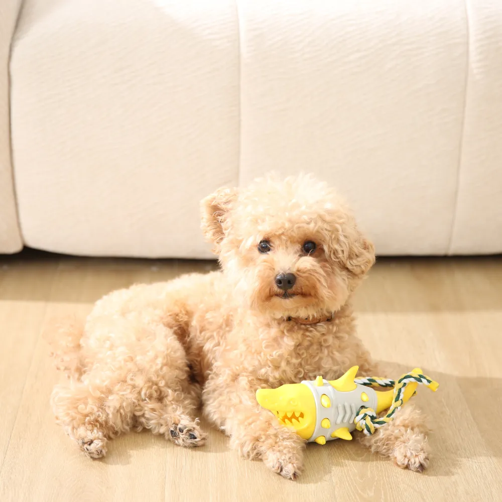 Hot Shark Shape Dog Chew Toy