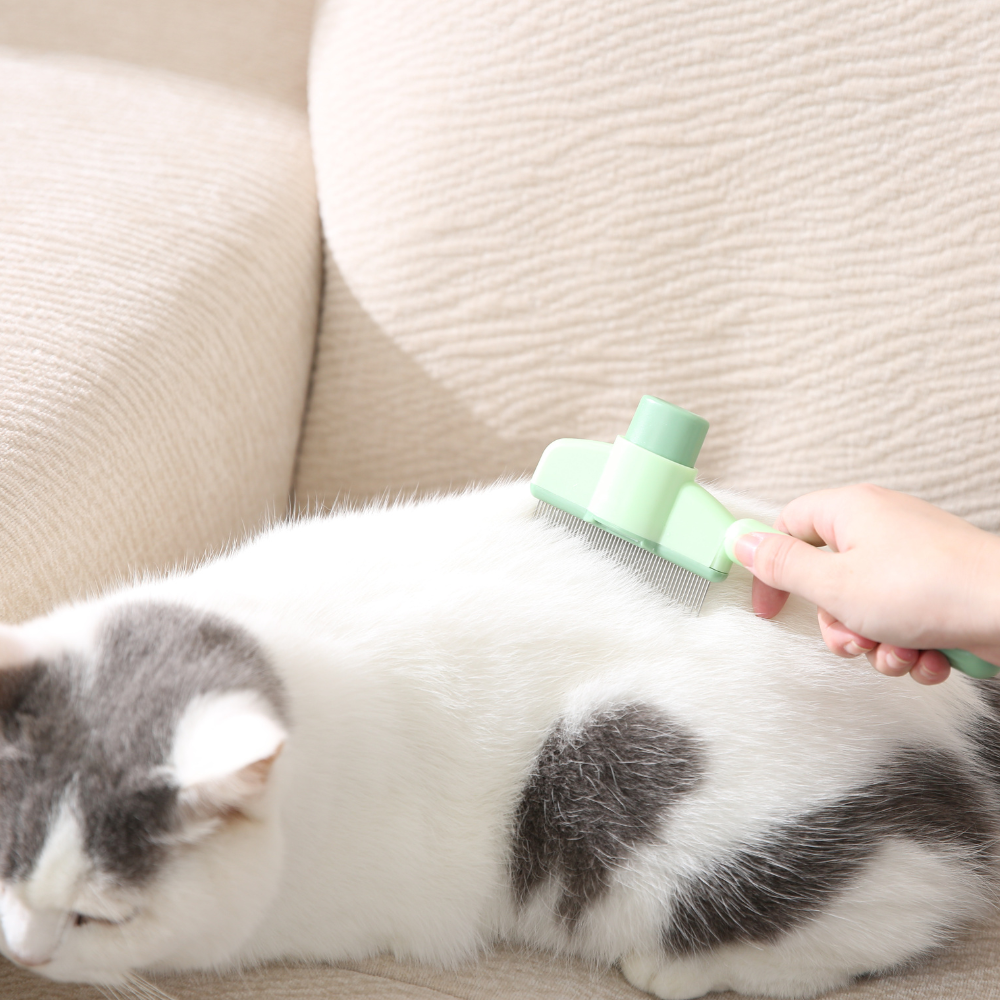 Long and short hair pet comb