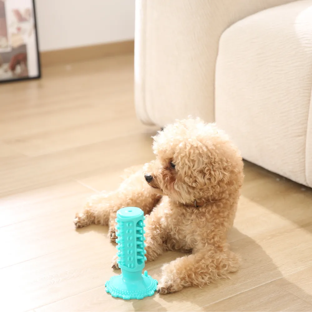 Manufacturer Dog Chew Toys with Suction