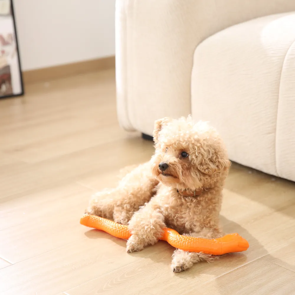 Manufacturer Snake Shaped Dog TPR Toy