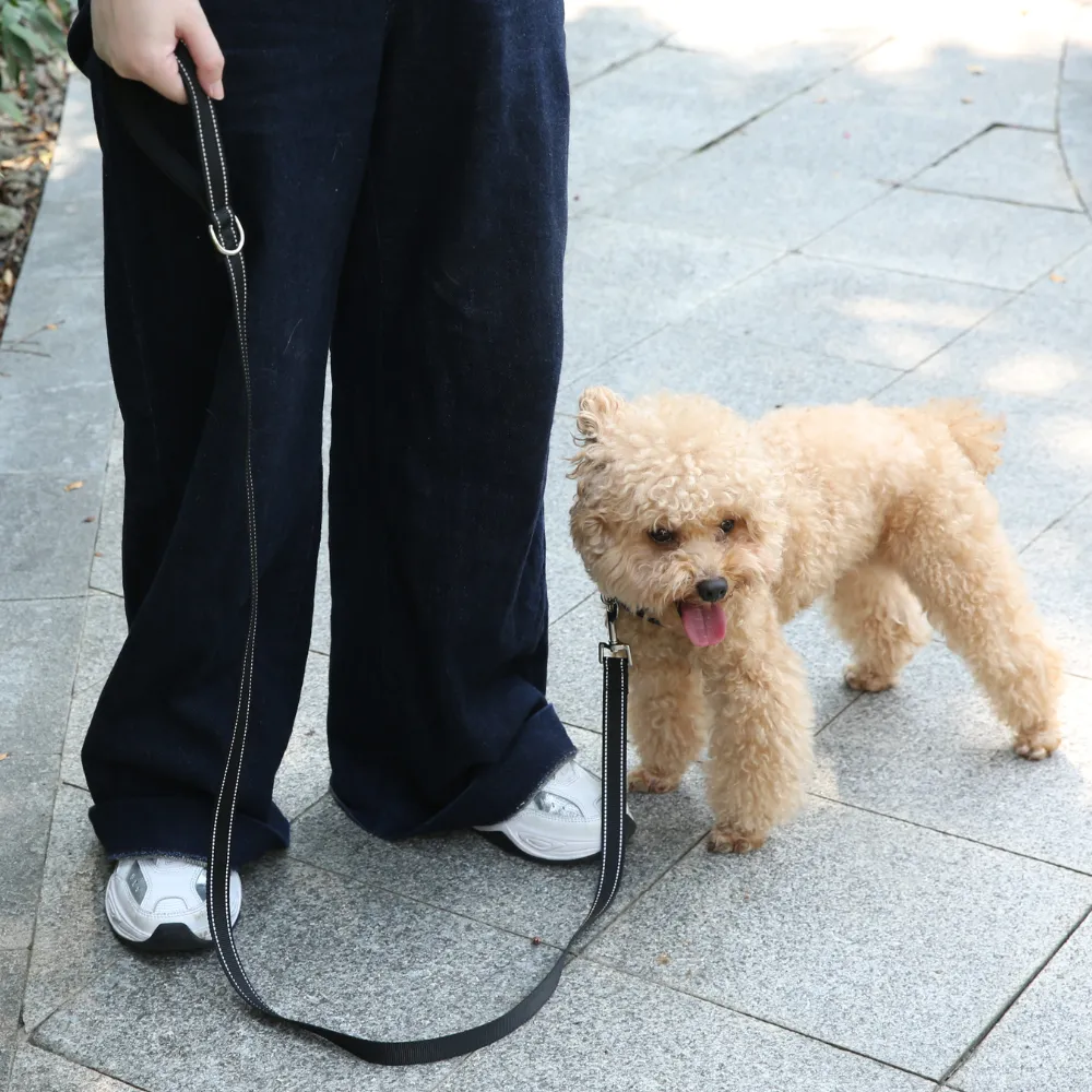 Nylon Dog Leash