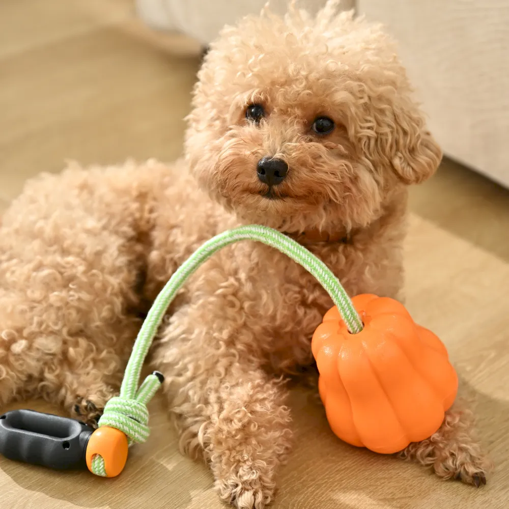 Outdoor Hand-Throw Pumpkin Ball Dog Toys