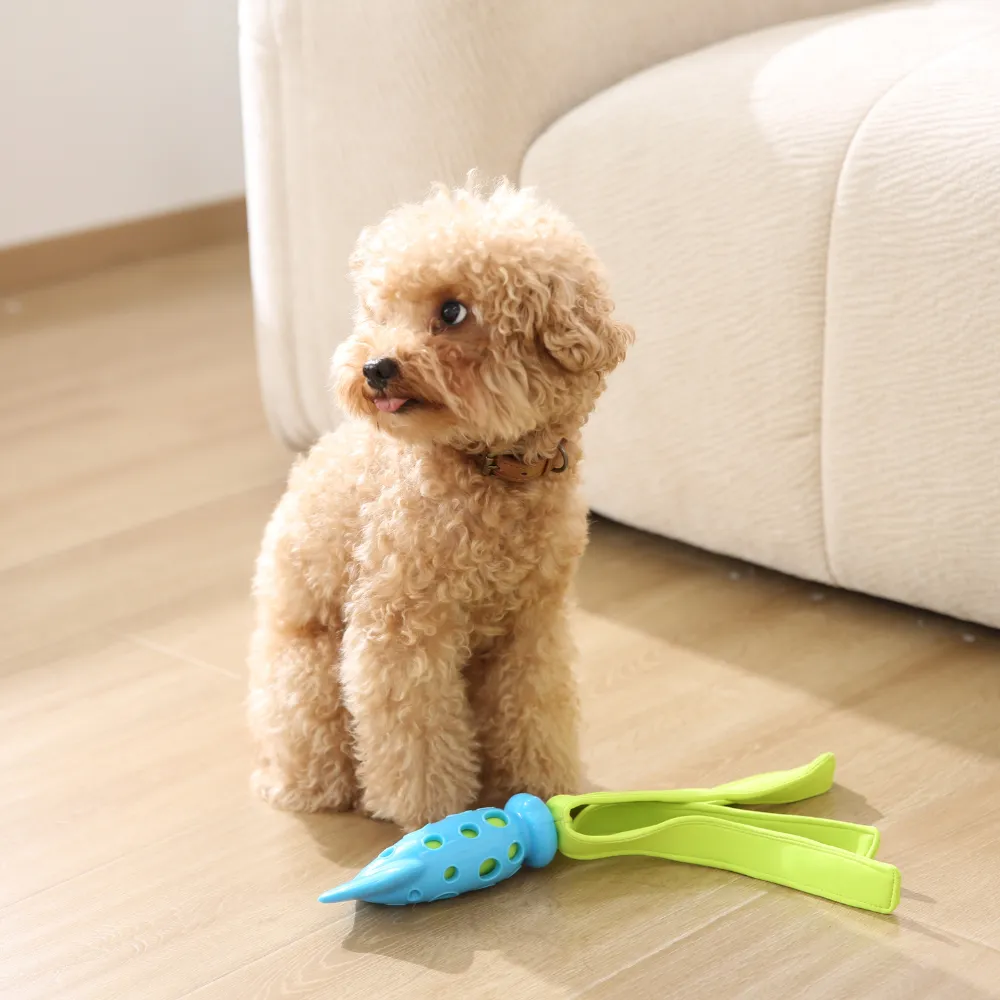 Pet Chewable Floating Toy