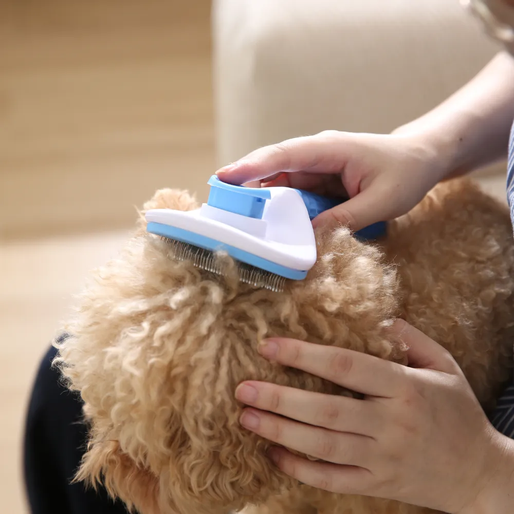 Pet Comb Hair Remover