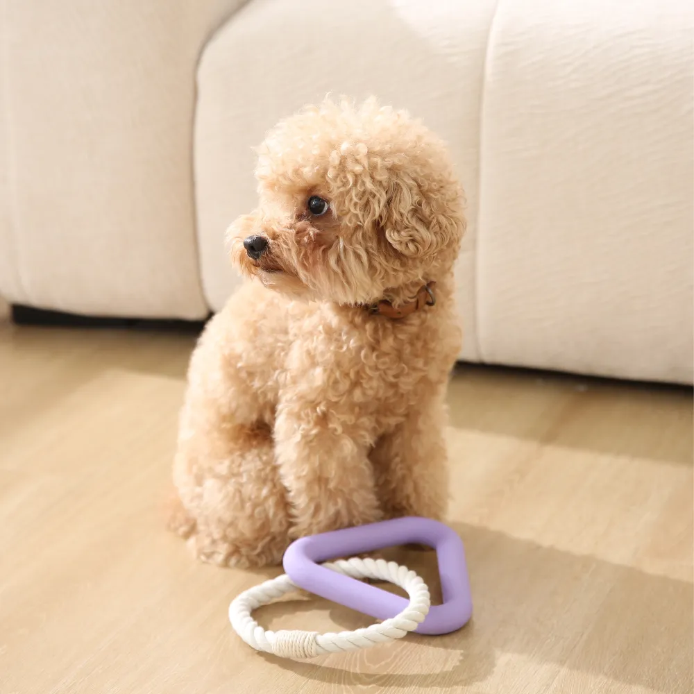 Pet Dog Pull Ring Toys