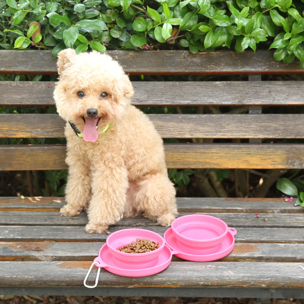 Pet Double Bowl Portable