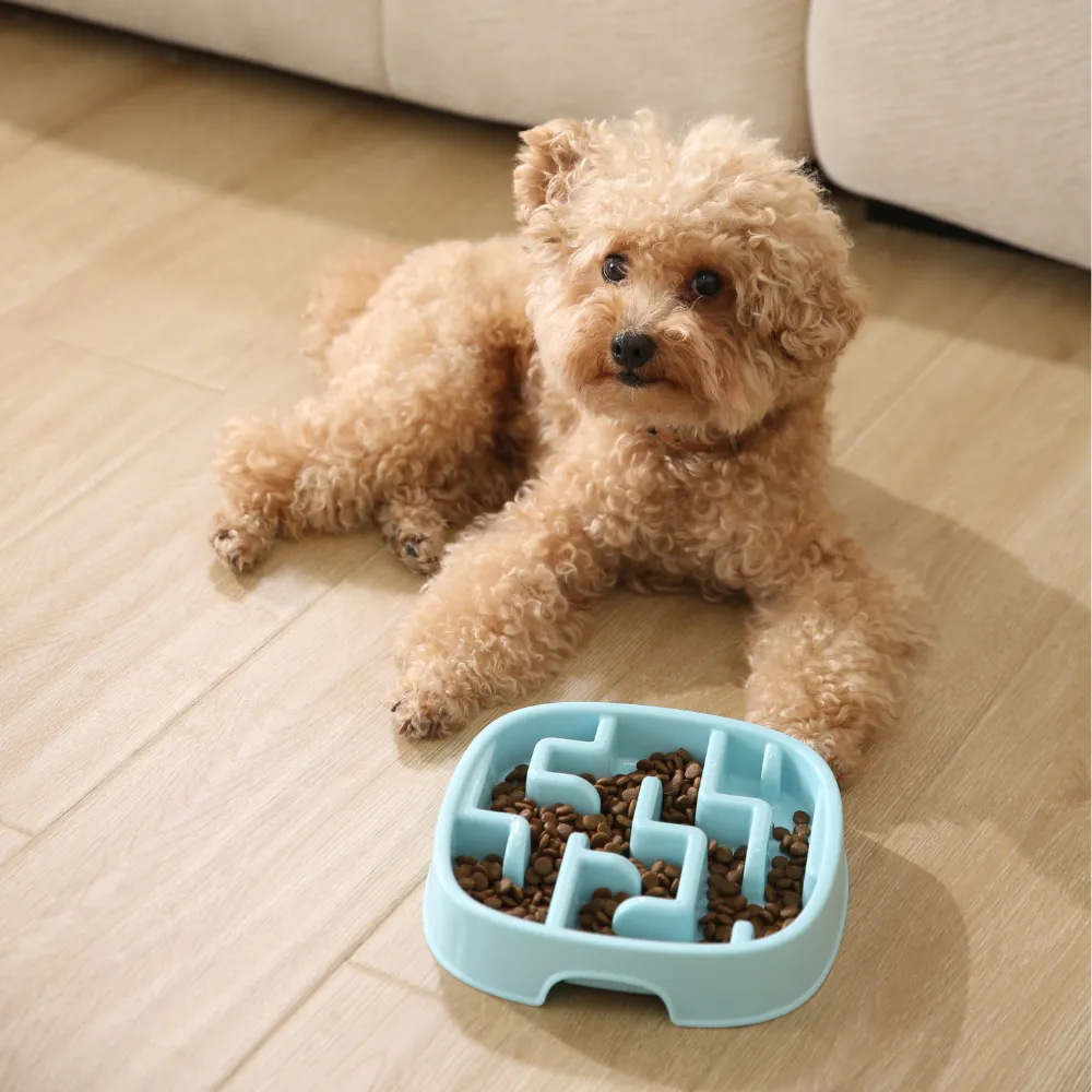 Pet Slow Feeder