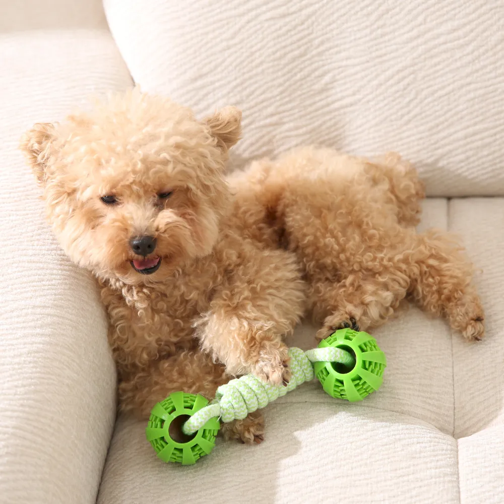 Pet TPR Ball Toy with Rope