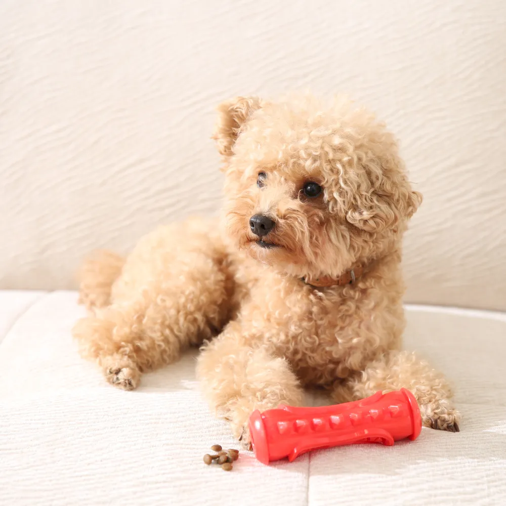 Pet TPR Bone Shaped Chew Toy