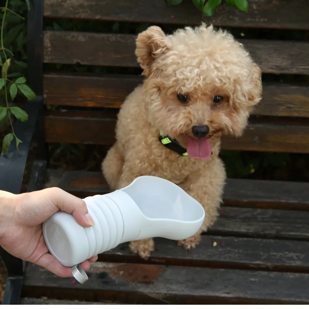 Pet Water Bottle Foldable