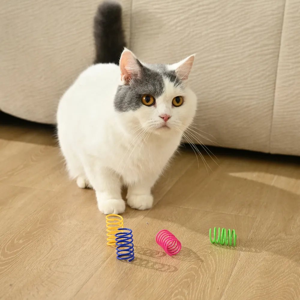 Plastic Coil Cat Toys