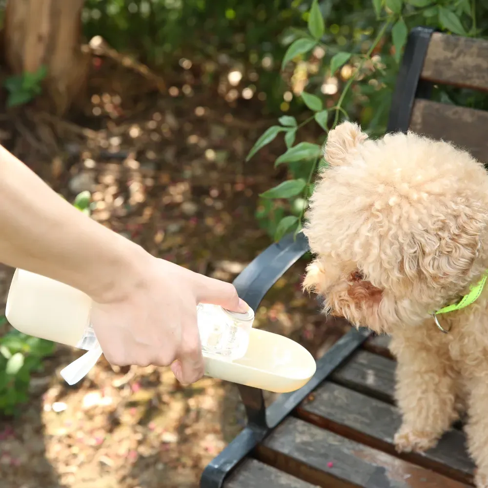 Portable Dog Water Bottle