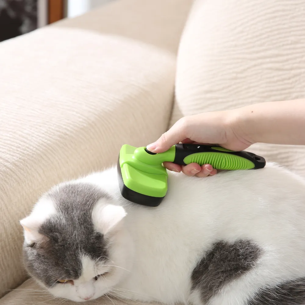 Puppy grooming essentials