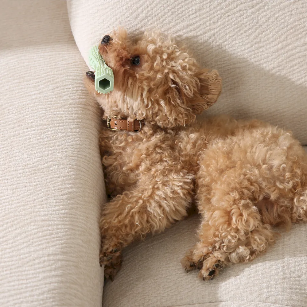 Small Dog Chew Toy Set of 2