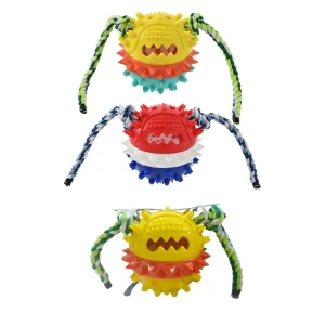 Squeaky Dog Puzzle Toy