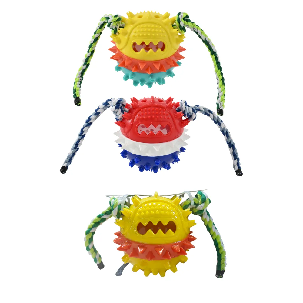 Squeaky Dog Puzzle Toy