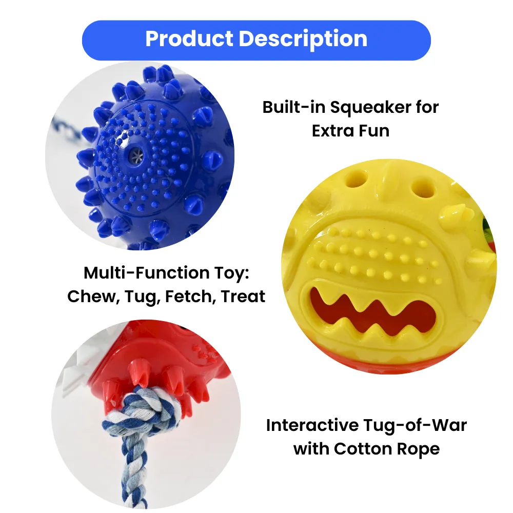 Squeaky Dog Puzzle Toys