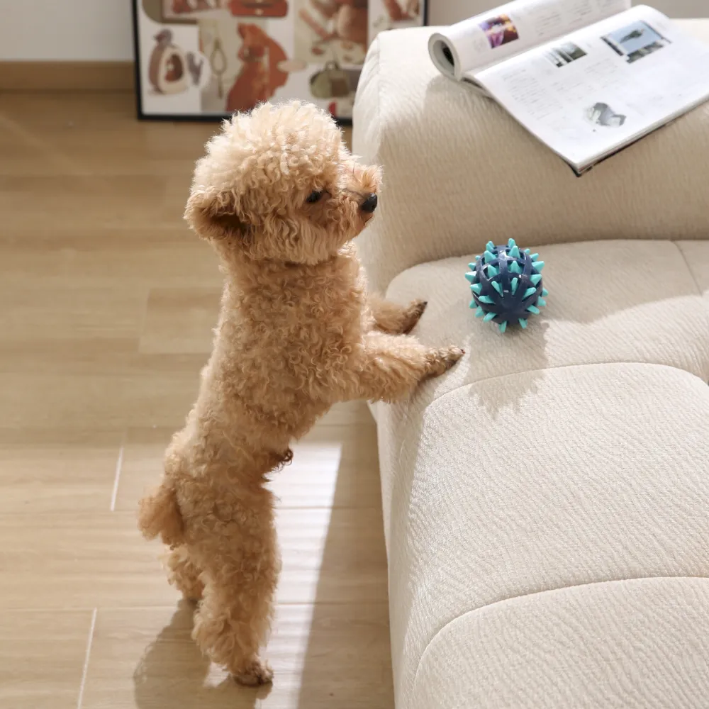 Squeaky Spiked TPR Dog Ball