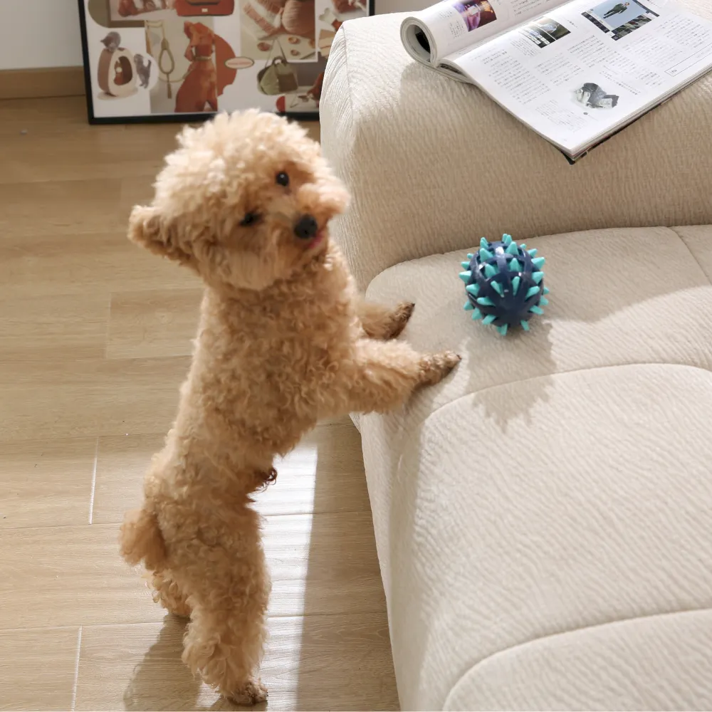 Squeaky Spiked TPR Pet Toy